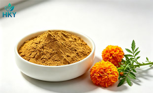 Calendula Officinalis